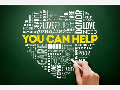 Volunteer Ideas in the Tampa Bay Area - Ways To Give Back