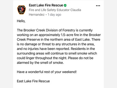 Fire continues to rage in the Brooker Creek preserve, Tarpon Springs