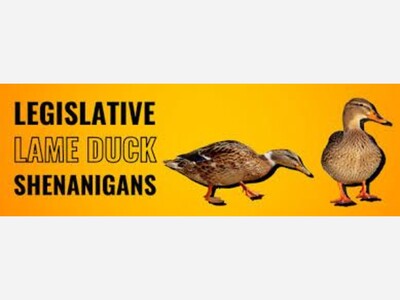 The New Watchdogs of Pinellas County Dodge A Controversy 