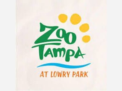 What's Happening at the Tampa Zoo?