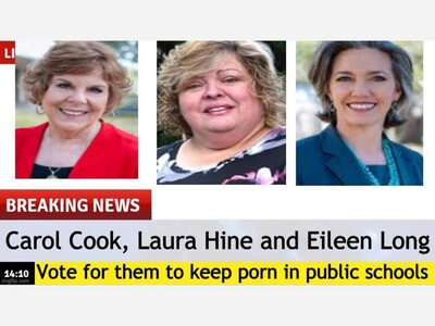  I also see that it [being accountable for the porn in the schools] could run into some issues and some problems around election time.   - Carol Cook, Pinellas County School Board Member of 24 Years