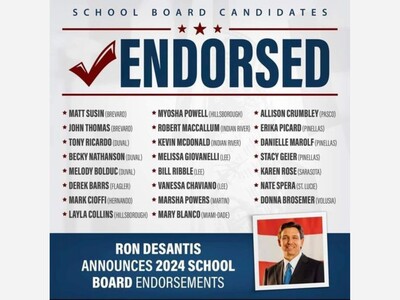 Governor Ron DeSantis Endorses 6 Tampa Bay Area School Board Candidates 