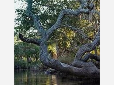 Pasco’s Werner-Boyce Salt Springs Added to Florida’s America 250 Road Trip