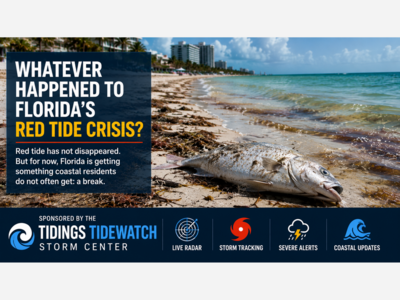 Whatever Happened to Florida’s Red Tide Crisis?