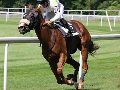 Kentucky Derby Day At Tampa Bay Downs